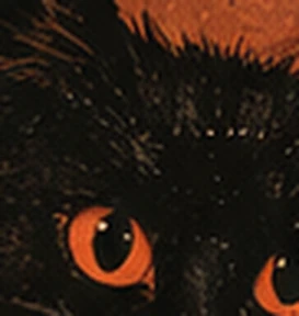 Halloween black cat on an orange background